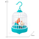 Cognipiu – Repete e Encanta!