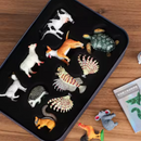 Safari Kids - Kit de Animais em 4D