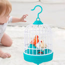 Cognipiu – Repete e Encanta!