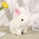 Oswaldo - o Coelho Interativo