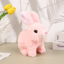 Oswaldo - o Coelho Interativo