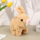 Oswaldo - o Coelho Interativo