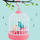 Cognipiu – Repete e Encanta!